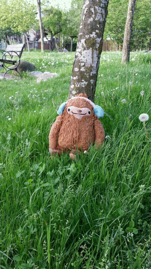 darrellbedford's profile picture. I’ll buy the team.