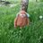 darrellbedford's profile image