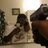 FAT_MAC1's profile image