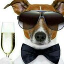 Nick Meister - @MeisterNm - Twitter