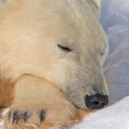 Umka_75's profile picture. 