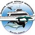 scwhalewatching (@scwhalewatching) Twitter profile photo