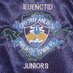 Amlwch Town Juniors (@atjafc) Twitter profile photo