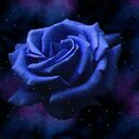 karla pinzon - @karlapinzon20 - Twitter