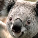 Dan Agnew - @DanAgnew2 - Twitter