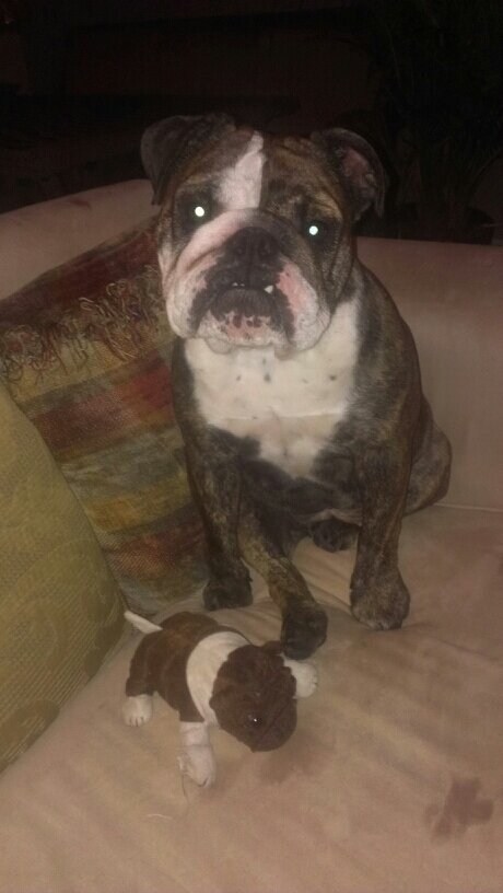 KristinaMorra's profile picture. 