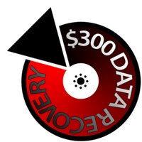 $300 Data Recovery(@300DataRecovery) 's Twitter Profile Photo