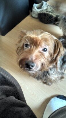 robertmeek70's profile picture. 