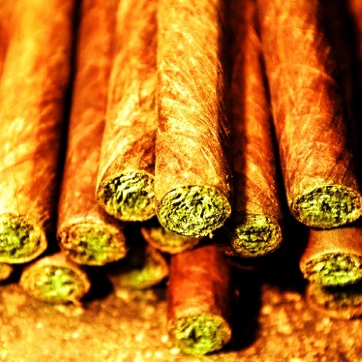 THCTime420's profile picture. By Stoners for Stoners. Red eyes and green lungs. #IndigoTribe #LegalizeIt #StonerNation