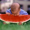 442 (@0236c20b34be45d) Twitter