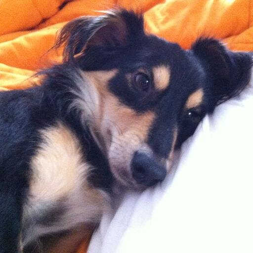 Wlladya's profile picture. 