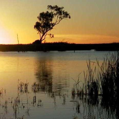 New England Regional Chapter of the Society of Wetland Scientists. For the non-profit, scientific, educational, and consulting wetland enthusiasts.