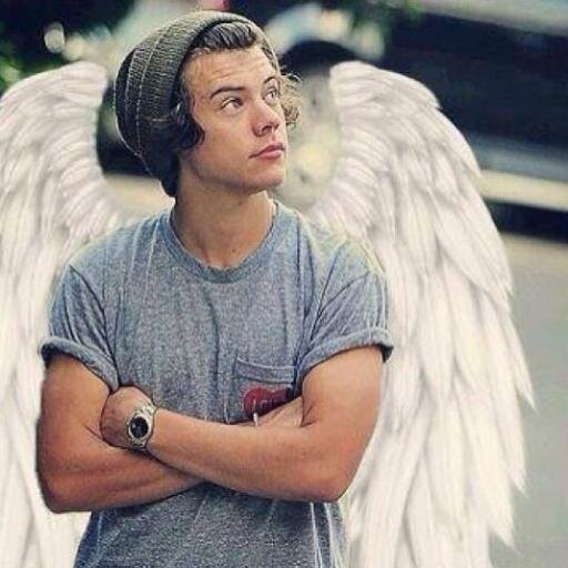hey i'm harry styles, i'm from 1d, the biggest boy band ever  [single/rp/gay]