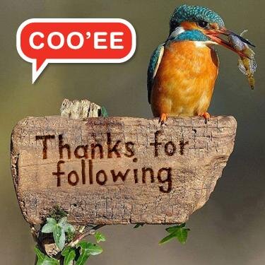 COO'EE is a #MarketingAndCommunications, #IdeasBank. Specialising in #MarketingProjectManagement and focussing on #IntegratedMarketingCommunications.