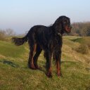 Joanne Lister - @airxstreamer - Twitter