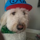 Freddy Gordon - @gordon_freddy - Twitter