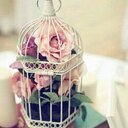 Abu Mohammed (@5d628797e55c467) Twitter
