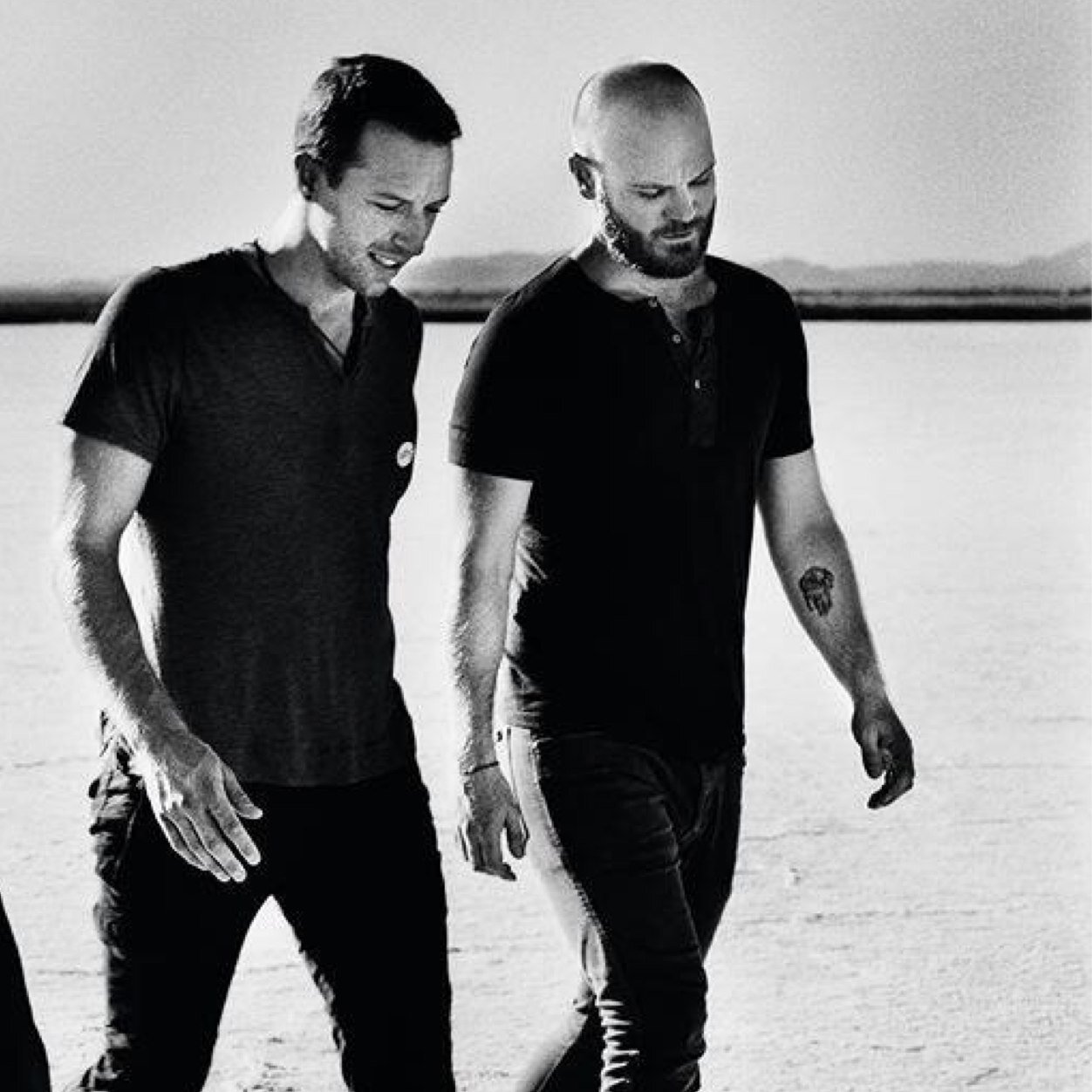 will champion enthusiast