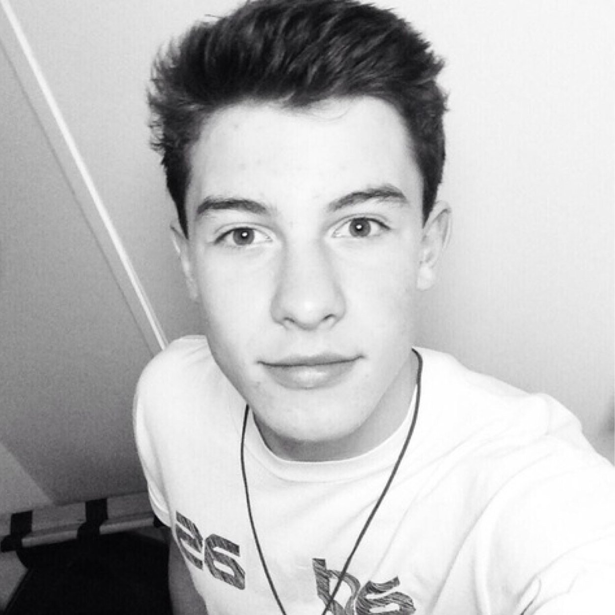 Shawn Mendes enthusiast