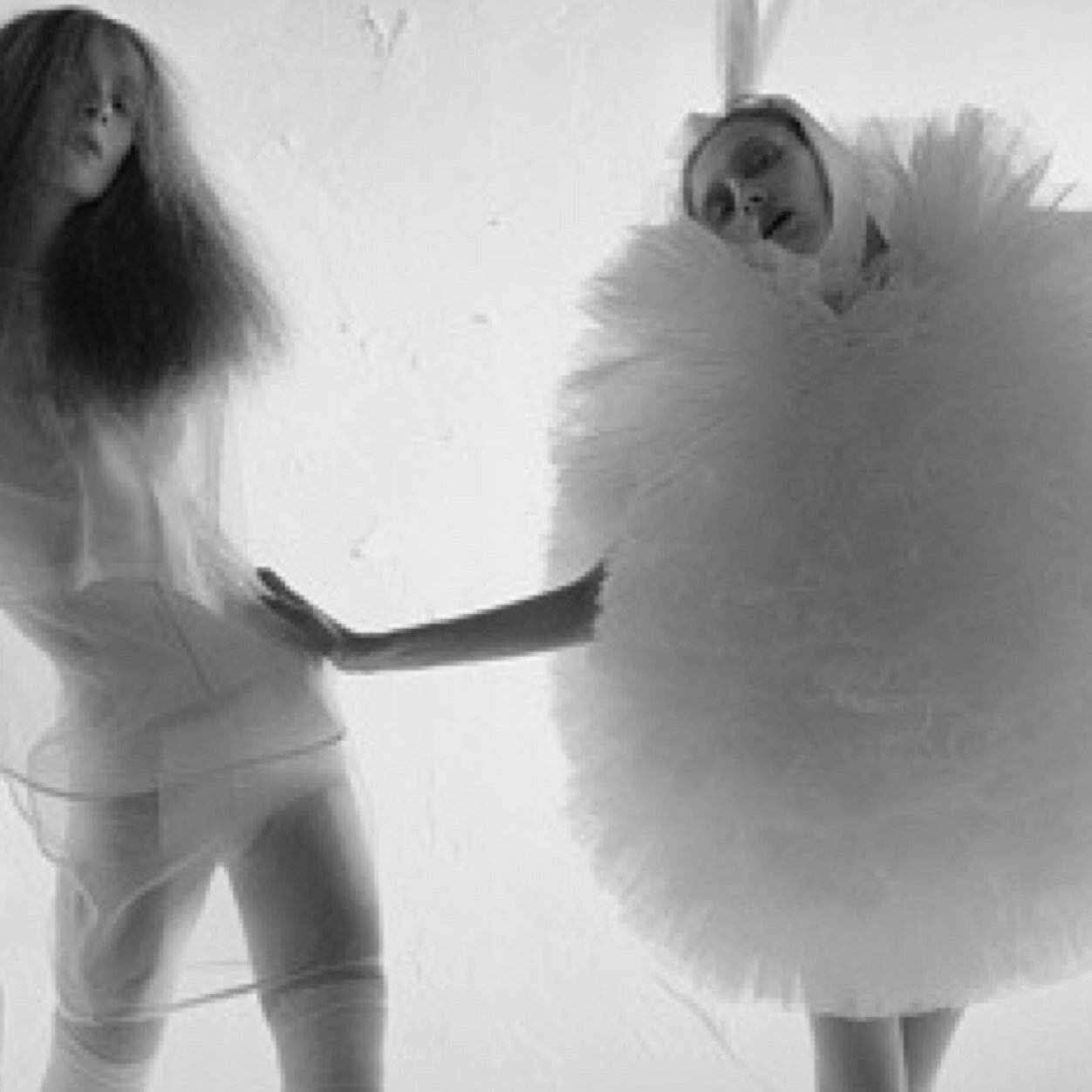 PenneFenne's profile picture. 