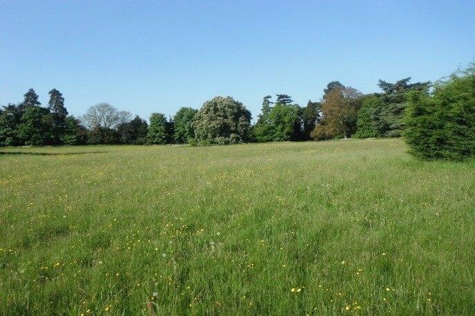 ElmsPetition's profile picture. A community against development of Elms Field in Thame town centre