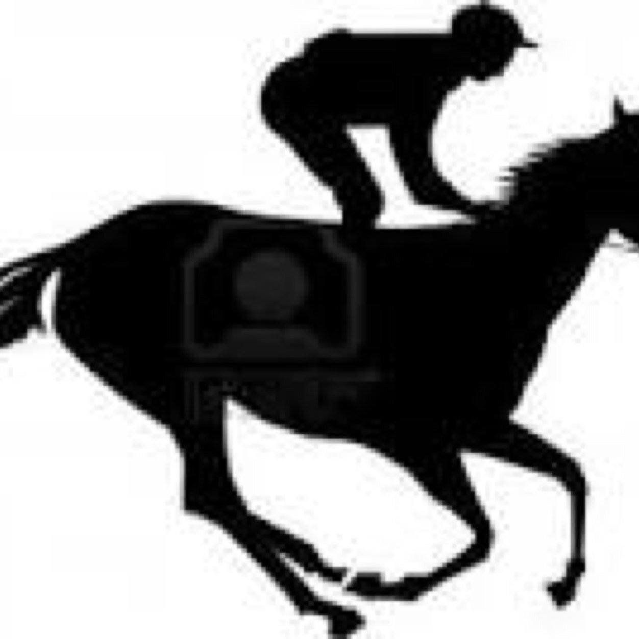 Each way horse tips , not massive stakes just looking for value
