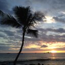 Jennifer Cann - @cann_jennifer - Twitter