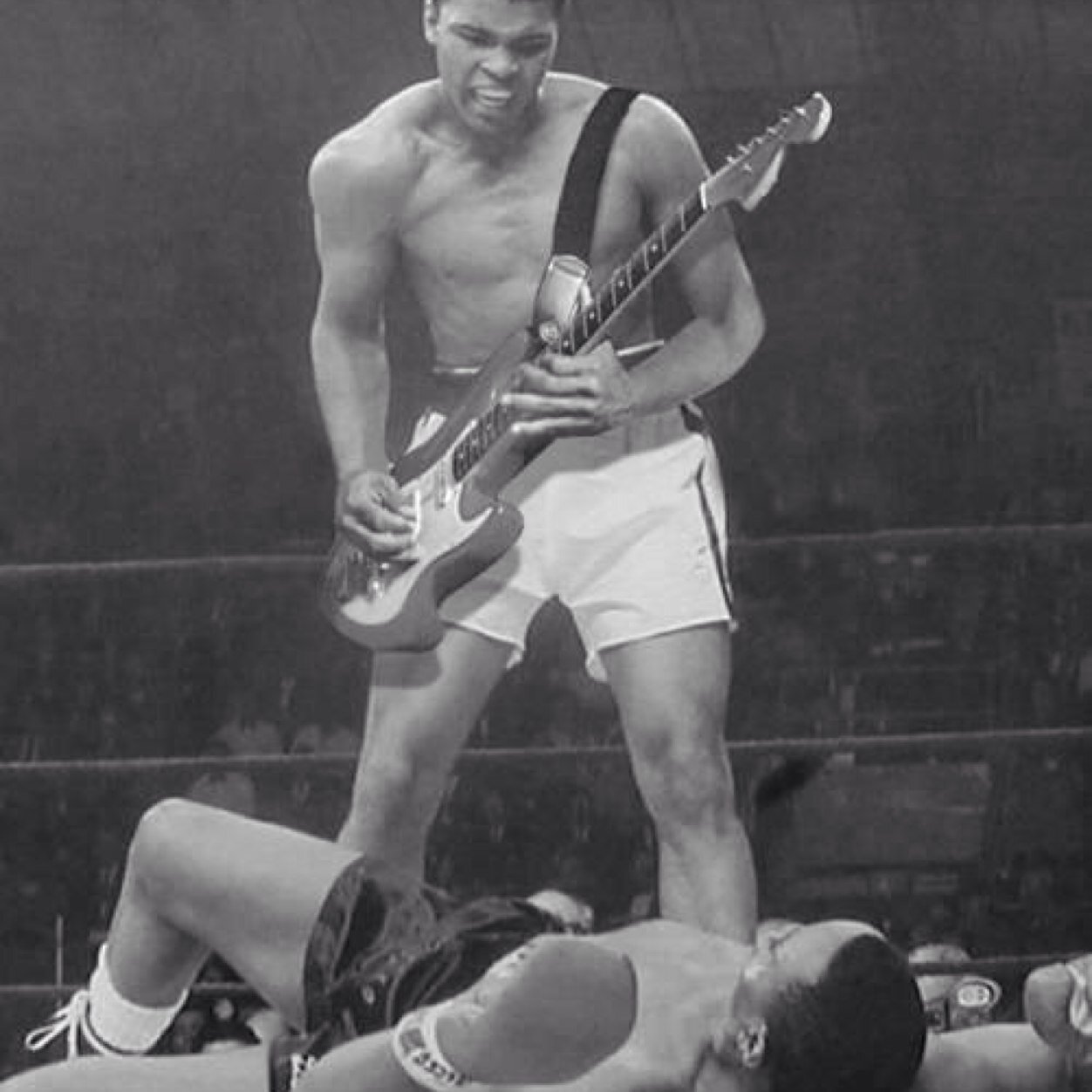 TheMottsAustin's profile picture. The Motts aren't just your standard cover band; they're all of the bands you love rolled into one. The Motts are the perfect addition to your party or wedding.