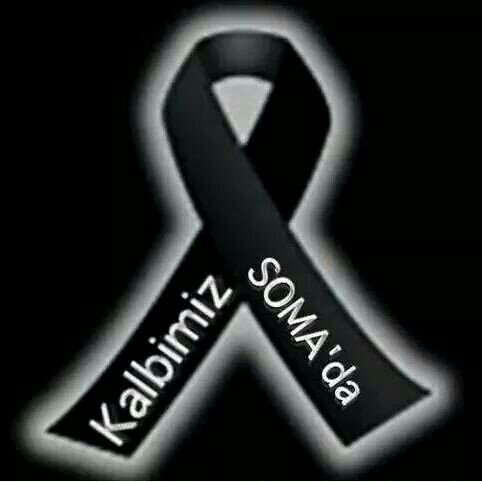 nilya_demir's profile picture. 