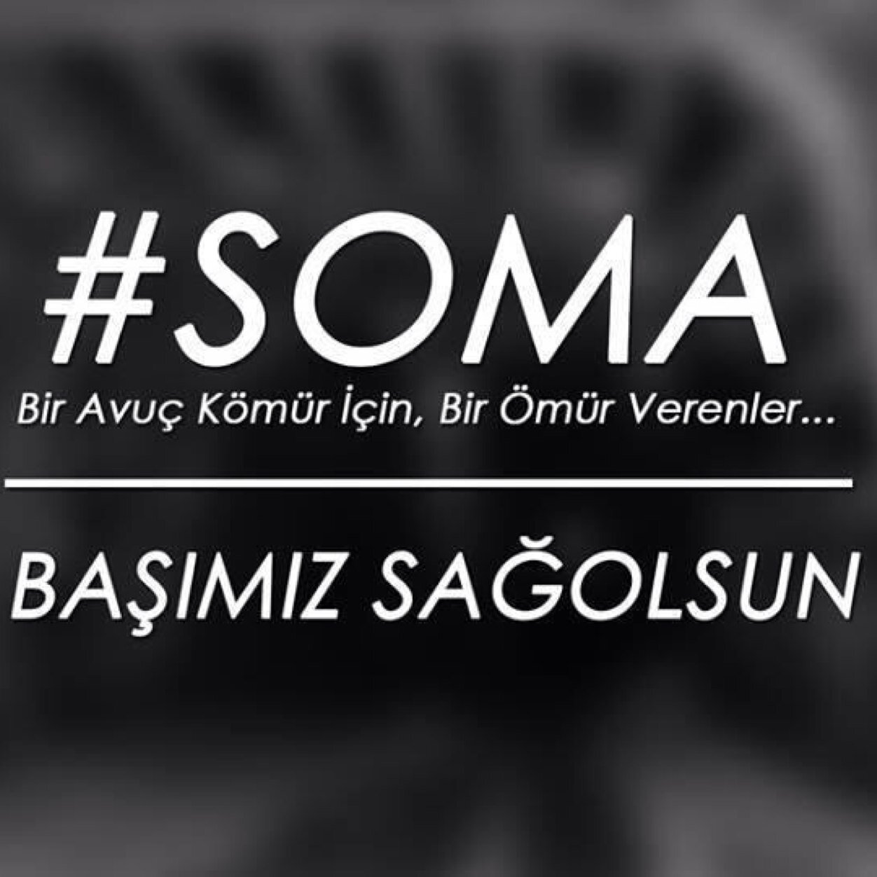 seeevv's profile picture. 