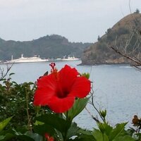 わか (@waka1443) 's Twitter Profile