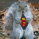 grayson lang - @klages12 - Twitter