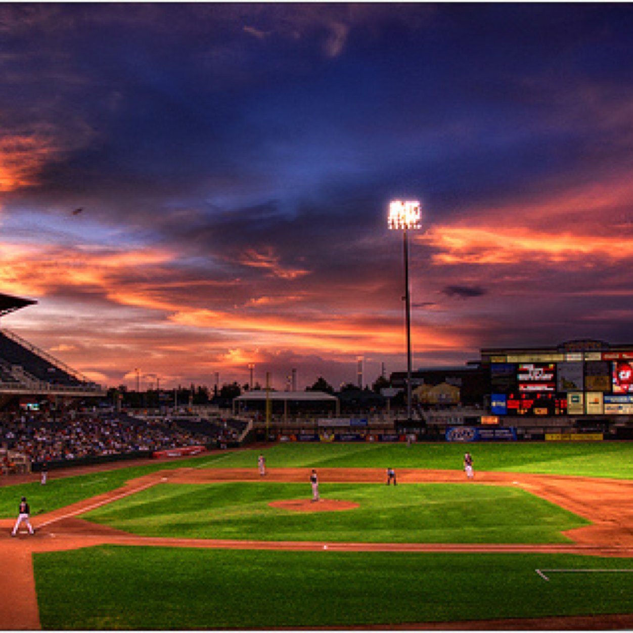 Funny tweets from the lovable baseball field. I follow back!⚾️