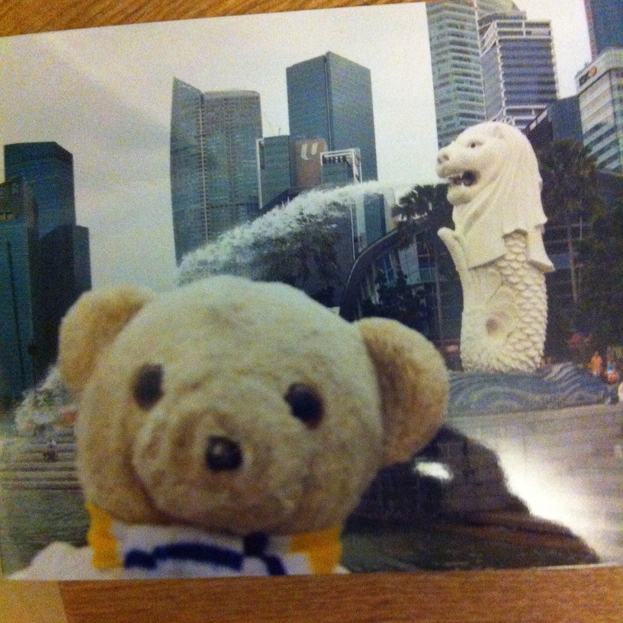 mrjbear's profile picture. follow Leeds United #ALAW #MOT #LUFC