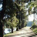 Nolan Sanchez Tovar - @nolanlogistic - Twitter