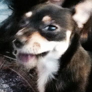 bubblez11011's profile picture. 