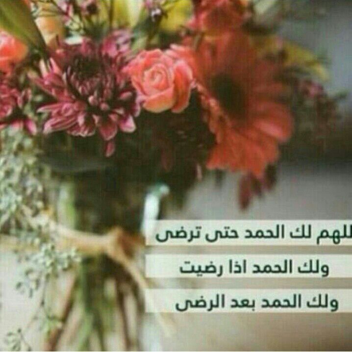 hocoo332's profile picture. 