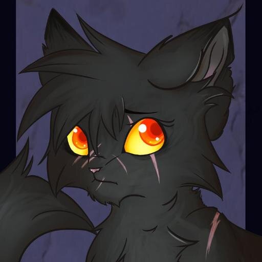 Gray ugly she-cat with amber eyes and scars. Rouge, mateless. Grumpy, and short-tempered, with a good sense of humor