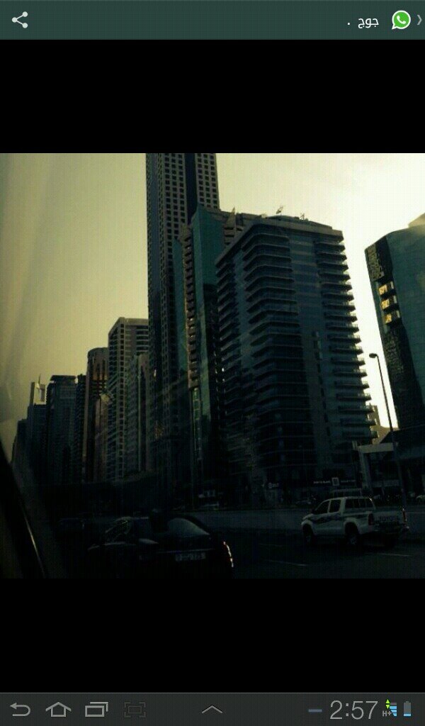 dodo_3222's profile picture. 