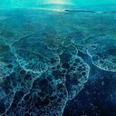 Christopher Abbott - @criscoabbott - Twitter