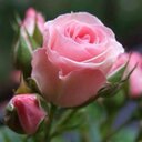 لااله الا الله (@05555haS) Twitter