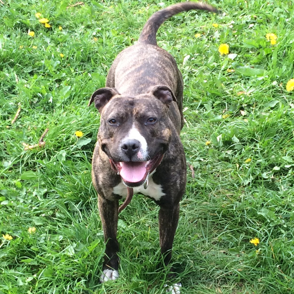 Michael_horn_19's profile picture. 