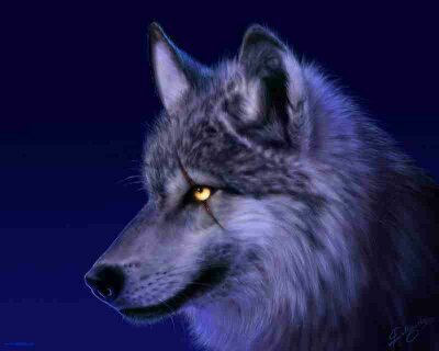im coolwolf10 from instagram follow me and follow my buddy techidiot_bro .......by