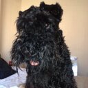 Melody Holt - @KerryBlueKobi - Twitter