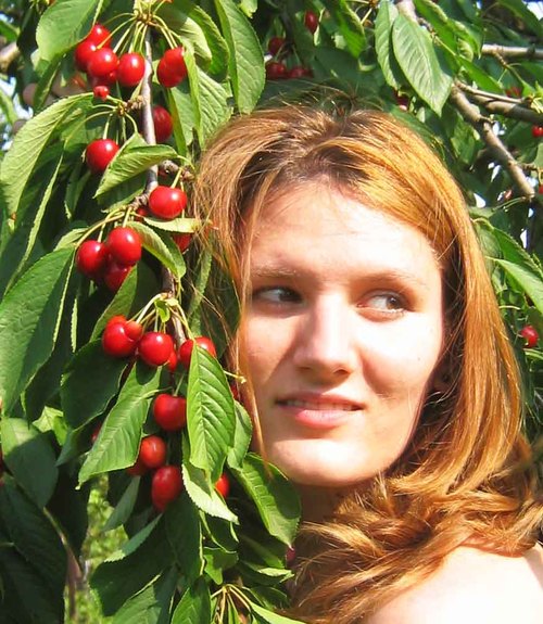 vlada meadow