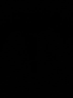 pakoepakoe's profile picture. 