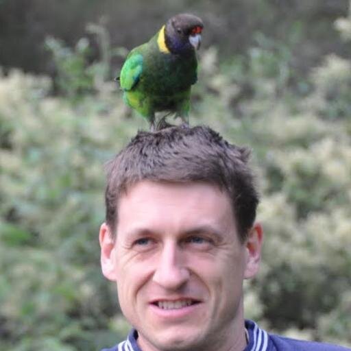 ozxilef's profile picture. 