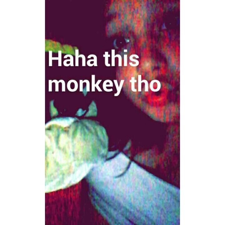 KalebNpineda's profile picture. liven life to the fullest