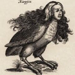 HarpysBazaar's profile picture. 