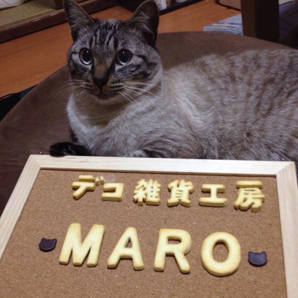 ハンドメイドで猫を救い隊(=^x^=) 社長:マロ様 店長:蛍祀    猫雑貨を主に制作中ฅ^•ω•^ฅ